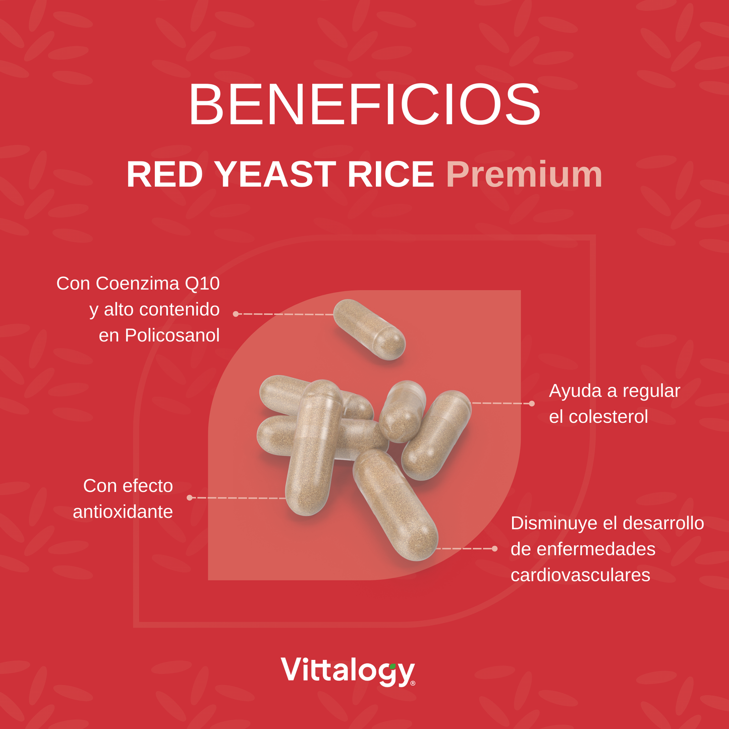 Red Yeast Rice - 240 caps (Pack de 2)