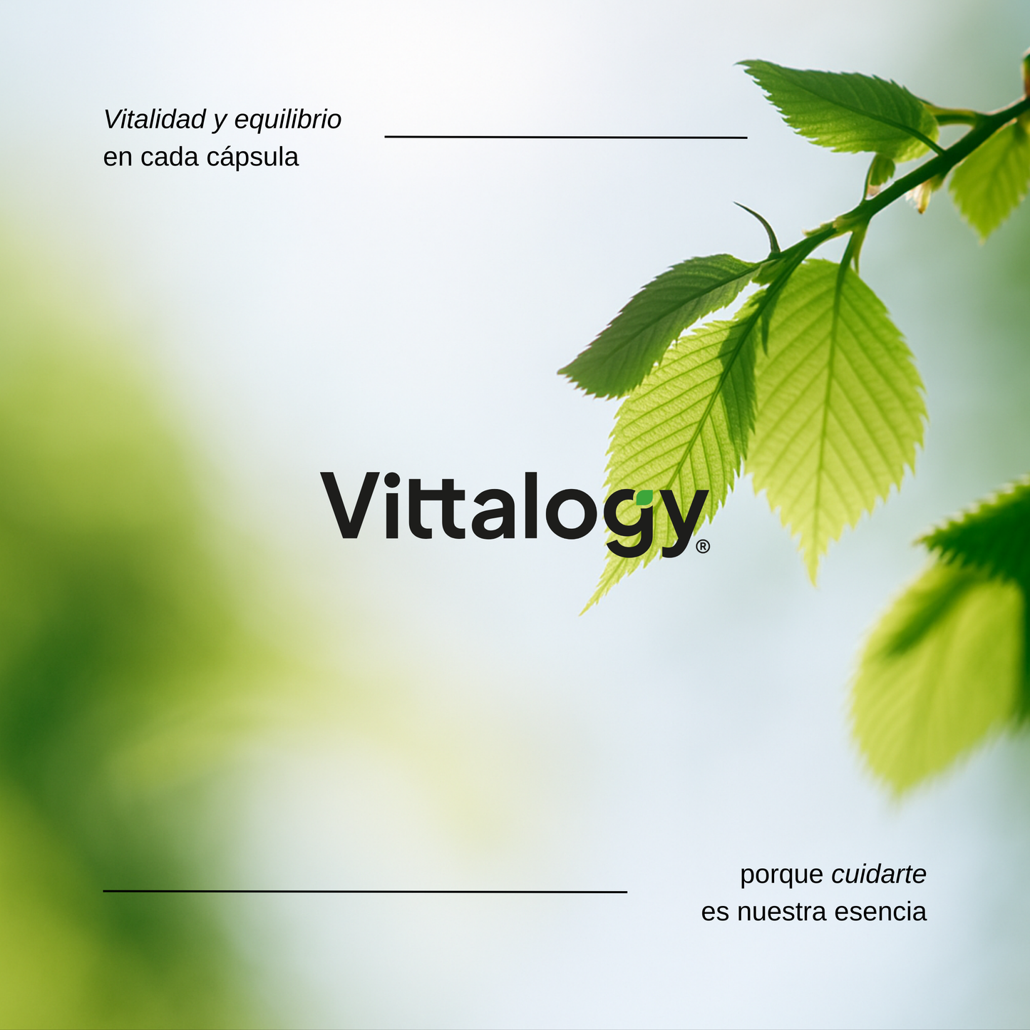 Collagen Complex - 360 Cáps (Pack de 3)