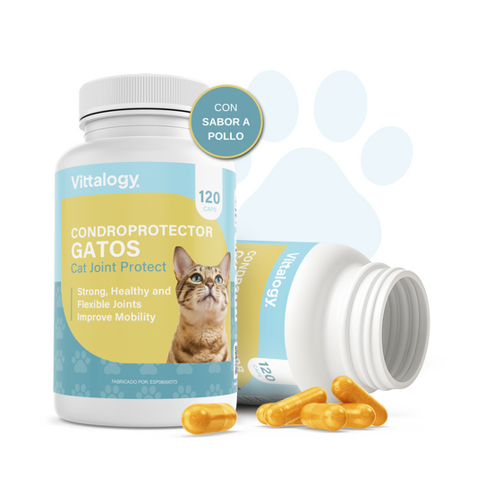 Condroprotector para Gatos
