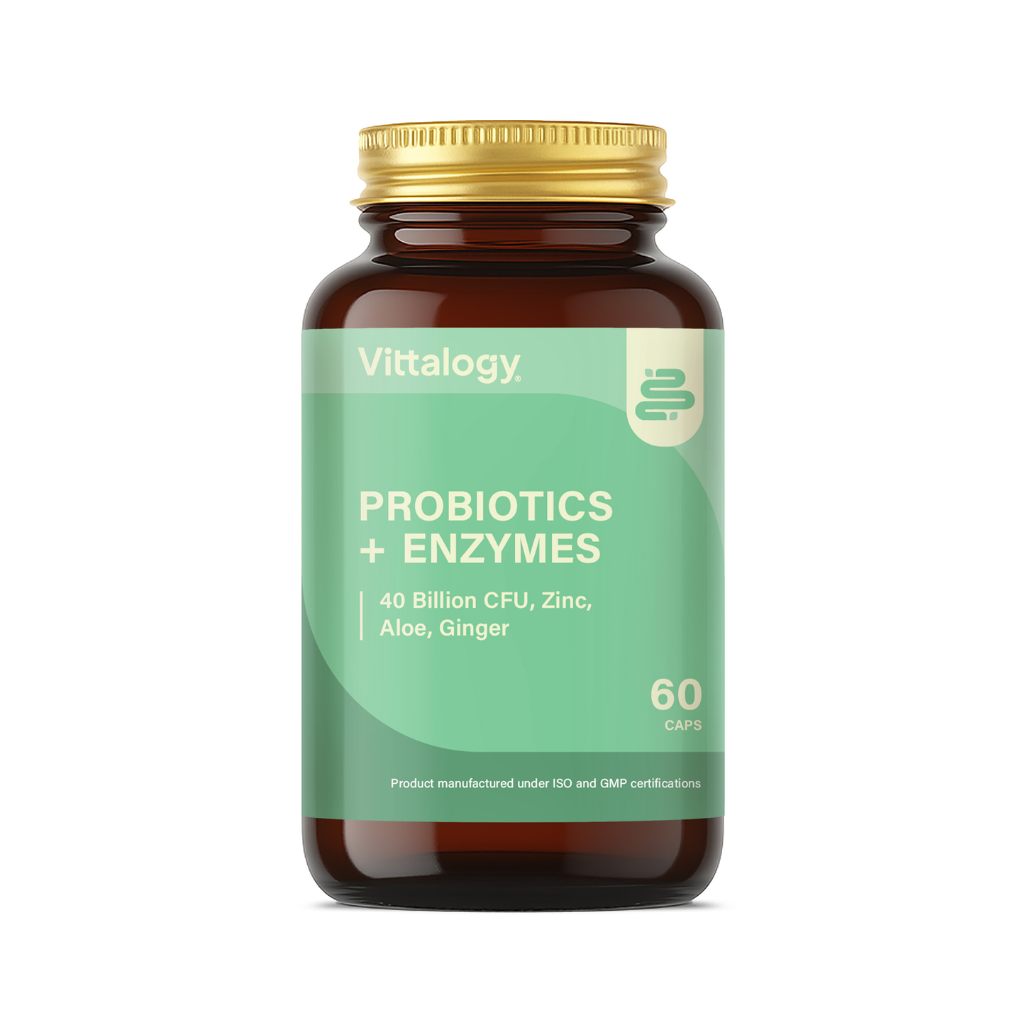 Probiotics + Enzymes