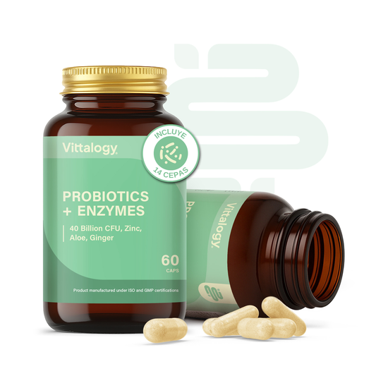 Probiotics + Enzymes