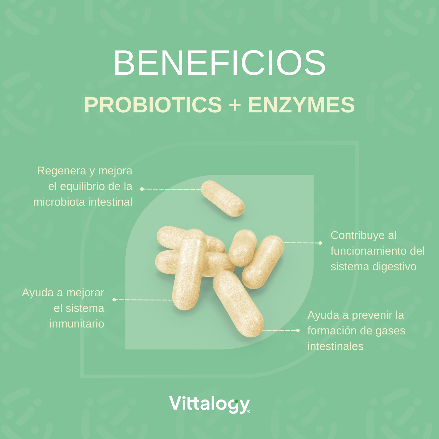 Probiotics + Enzymes
