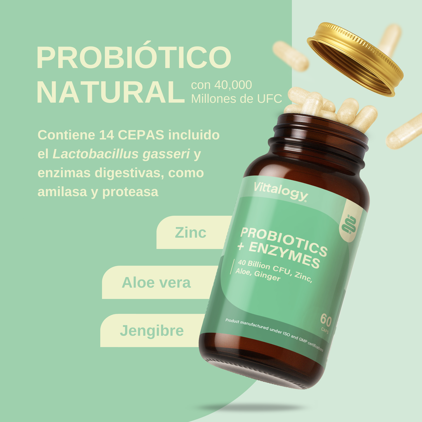 Probiotics + Enzymes