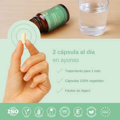 Probiotics + Enzymes
