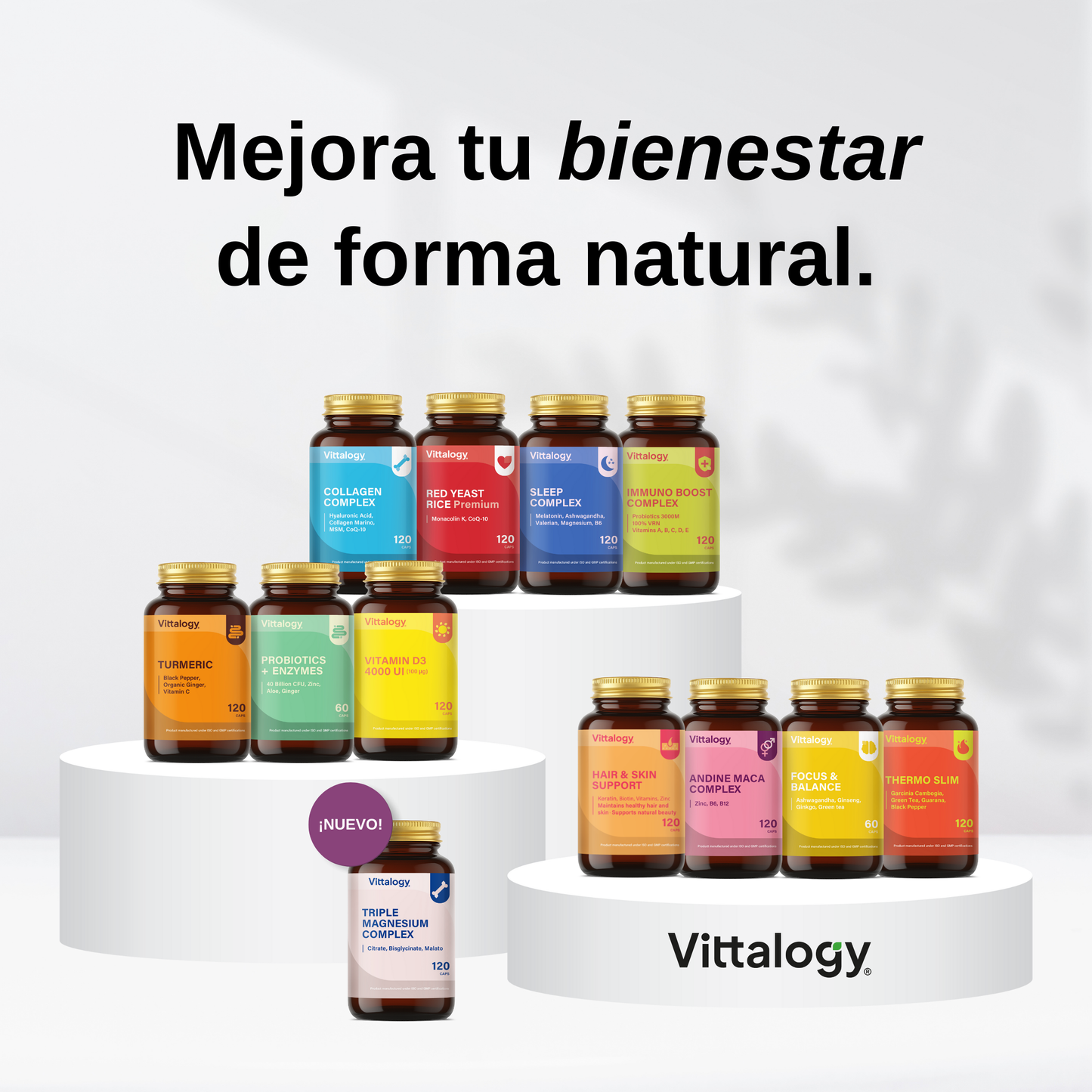 Probiotics + Enzymes