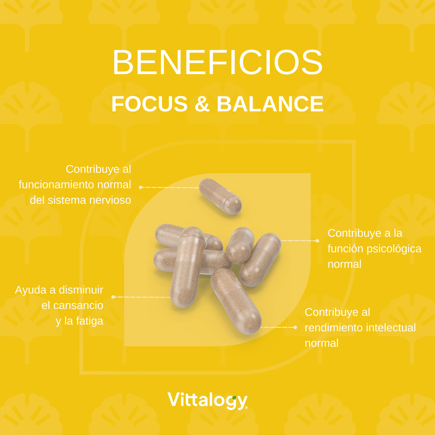 Focus & Balance