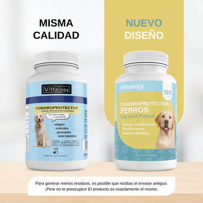Condroprotector para Perros