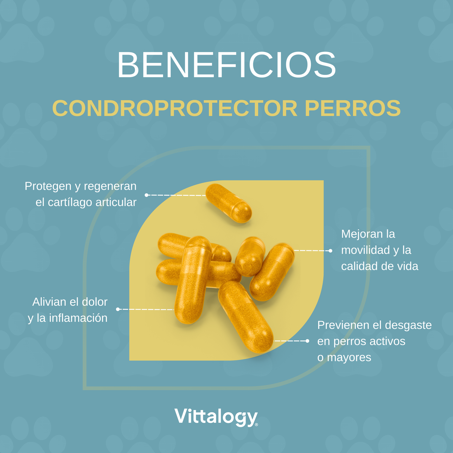 Condroprotector para Perros