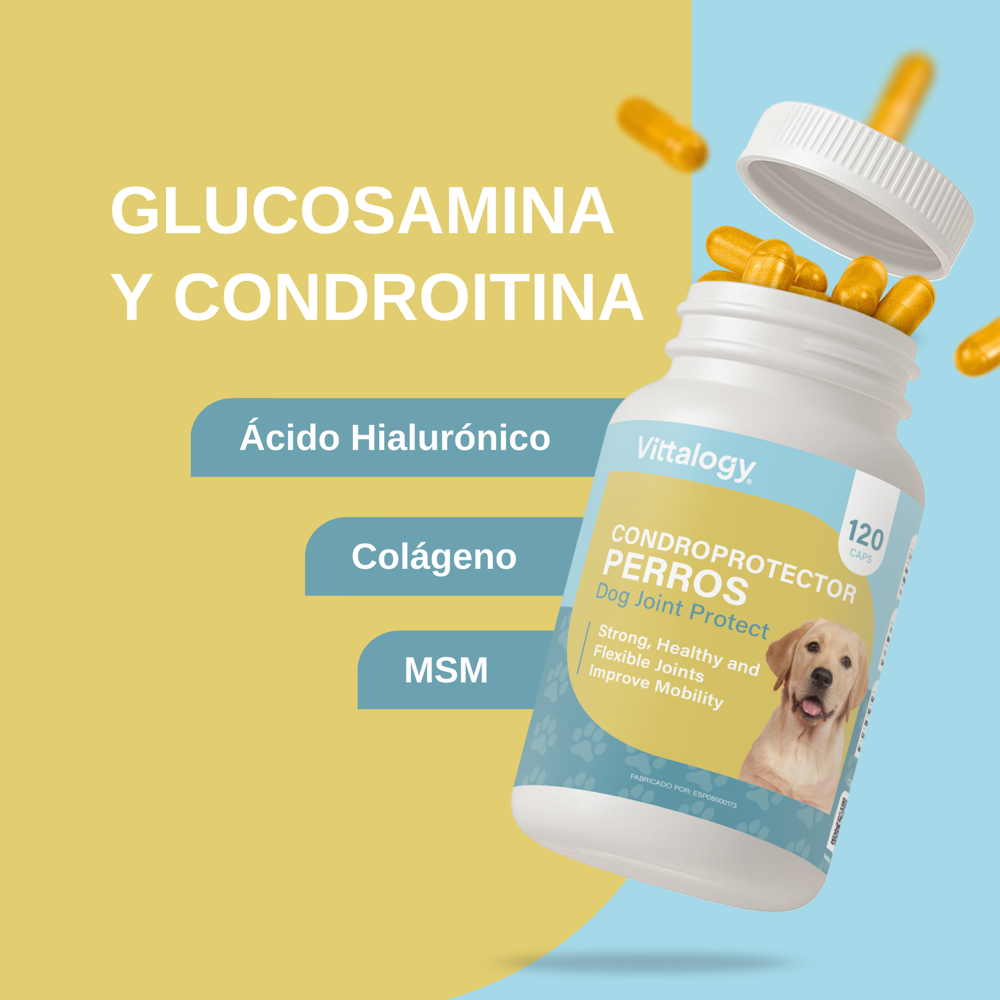 Condroprotector para Perros
