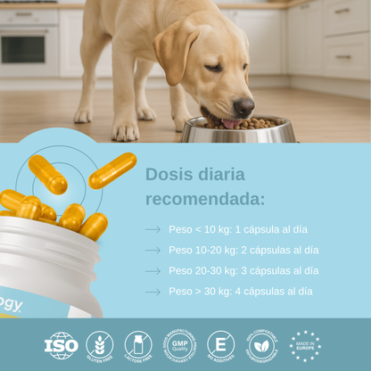 Condroprotector para Perros