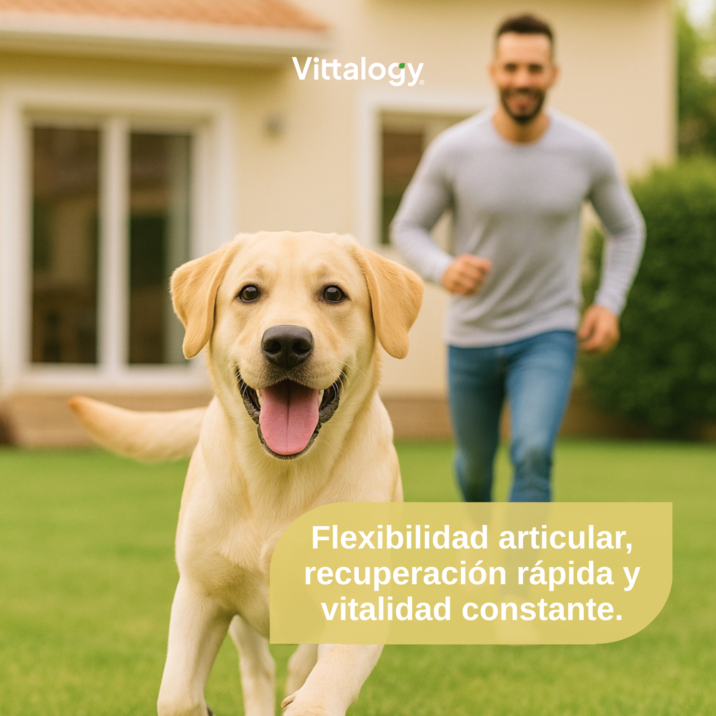 Condroprotector para Perros