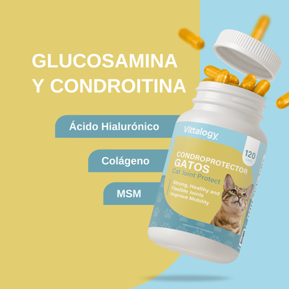 Condroprotector para Gatos
