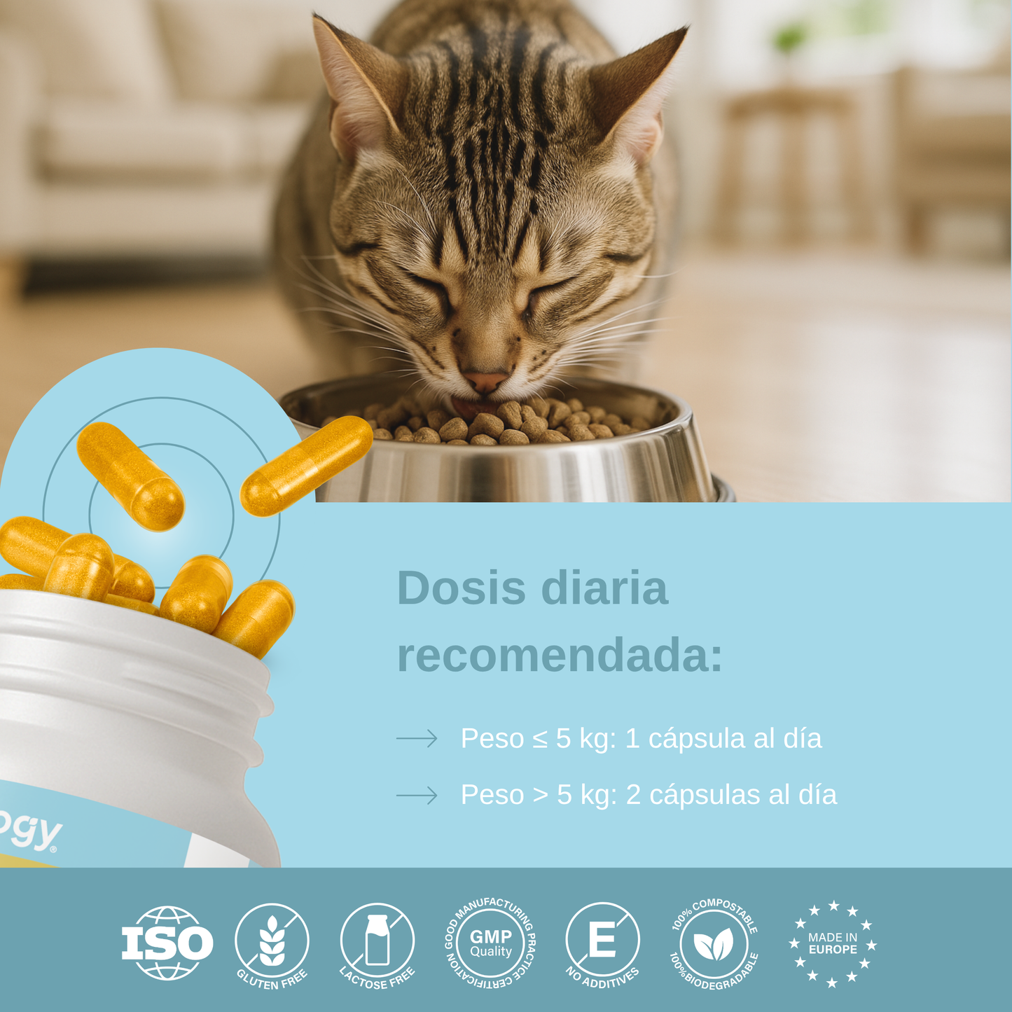 Condroprotector para Gatos