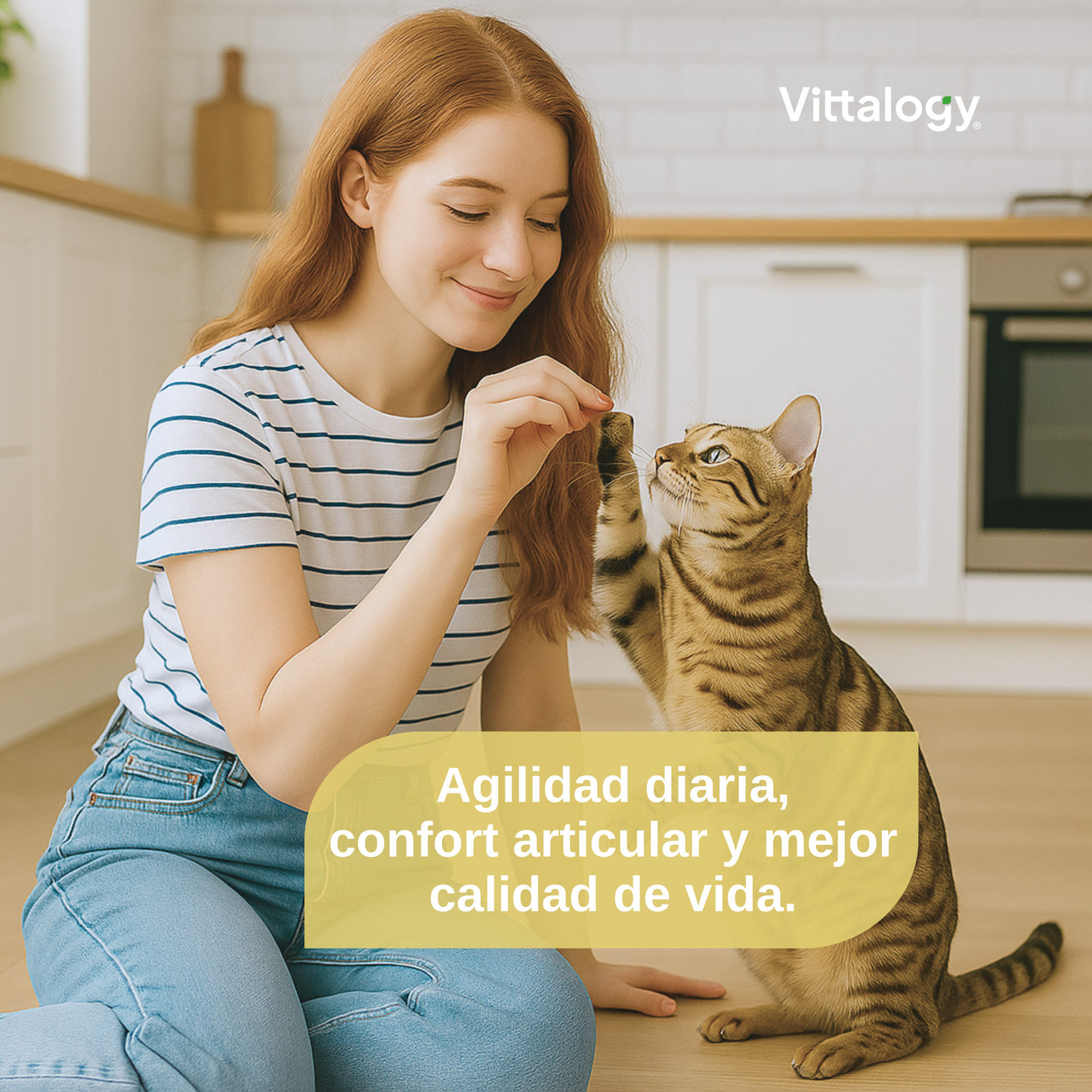 Condroprotector para Gatos