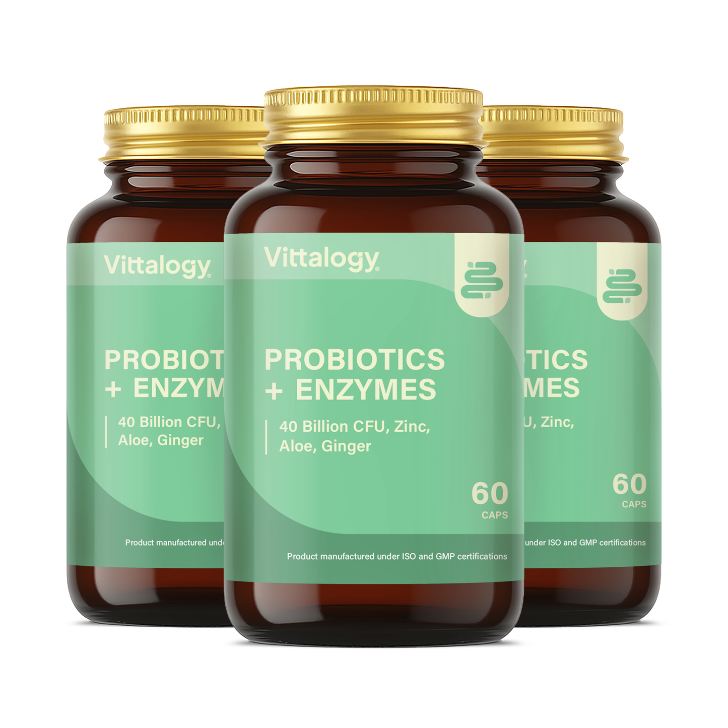 Probiotics + Enzymes