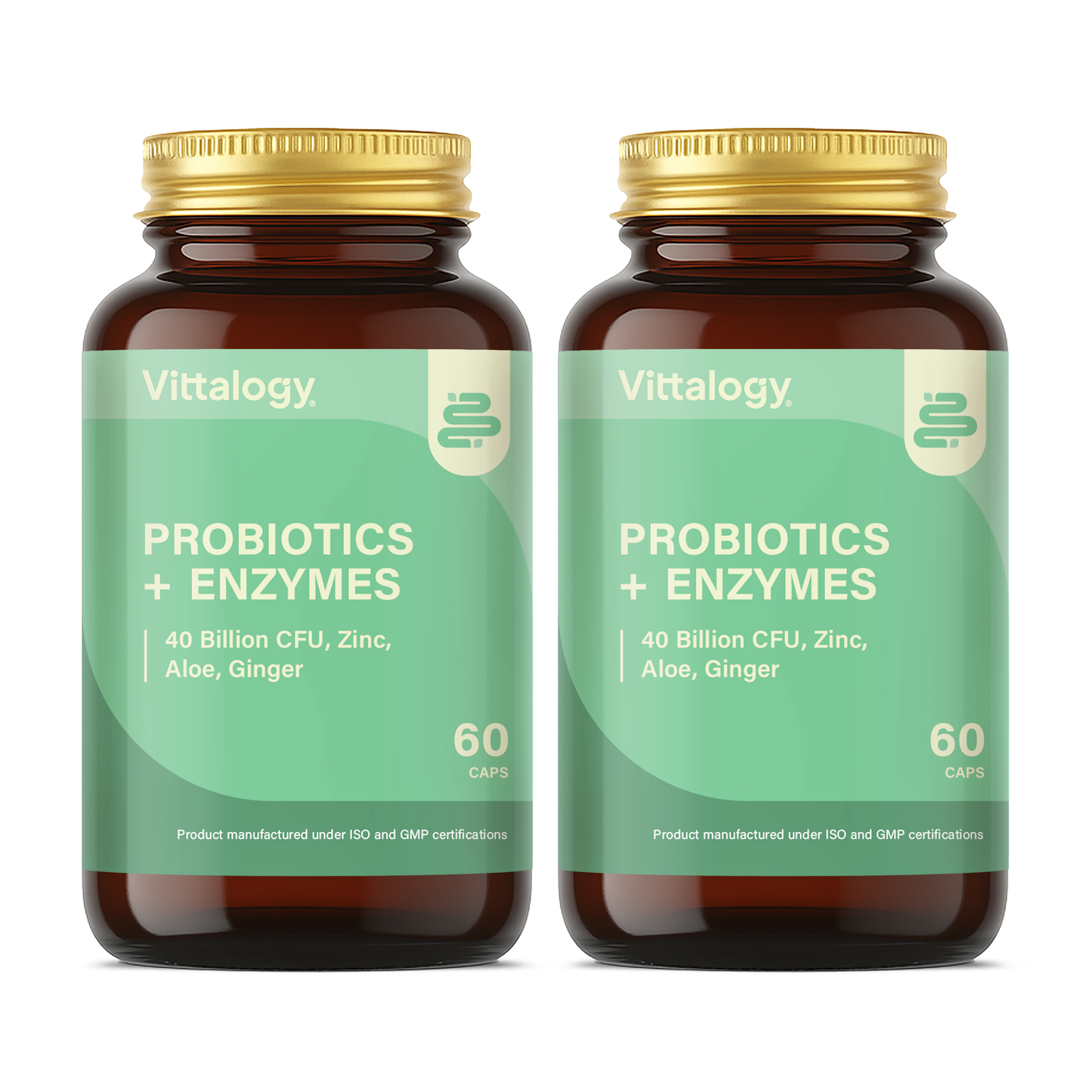 Probiotics + Enzymes