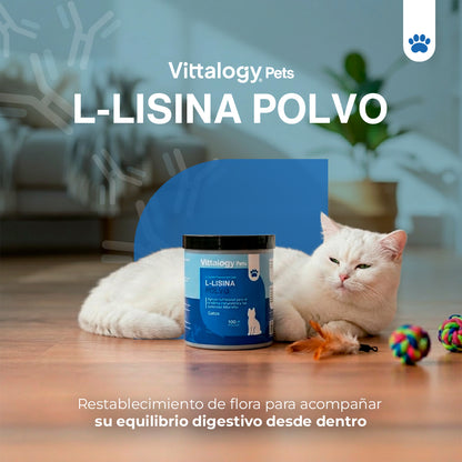 L-Lisina Polvere - 100g (Confezione da 2)