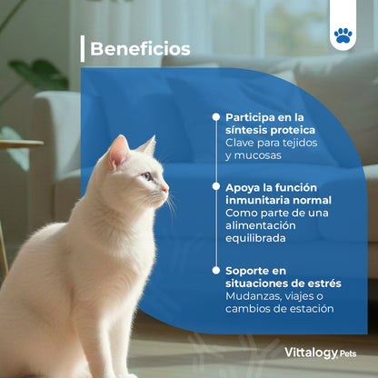 L - Lisina Polvo - 100 gr