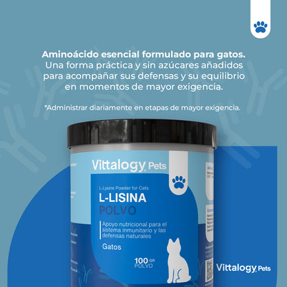 L-Lisina Polvere - 100g (Confezione da 3)
