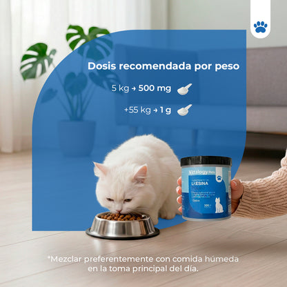 L - Lisina Polvo - 100 gr