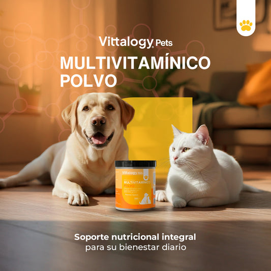 Multivitamínico - 100 gr