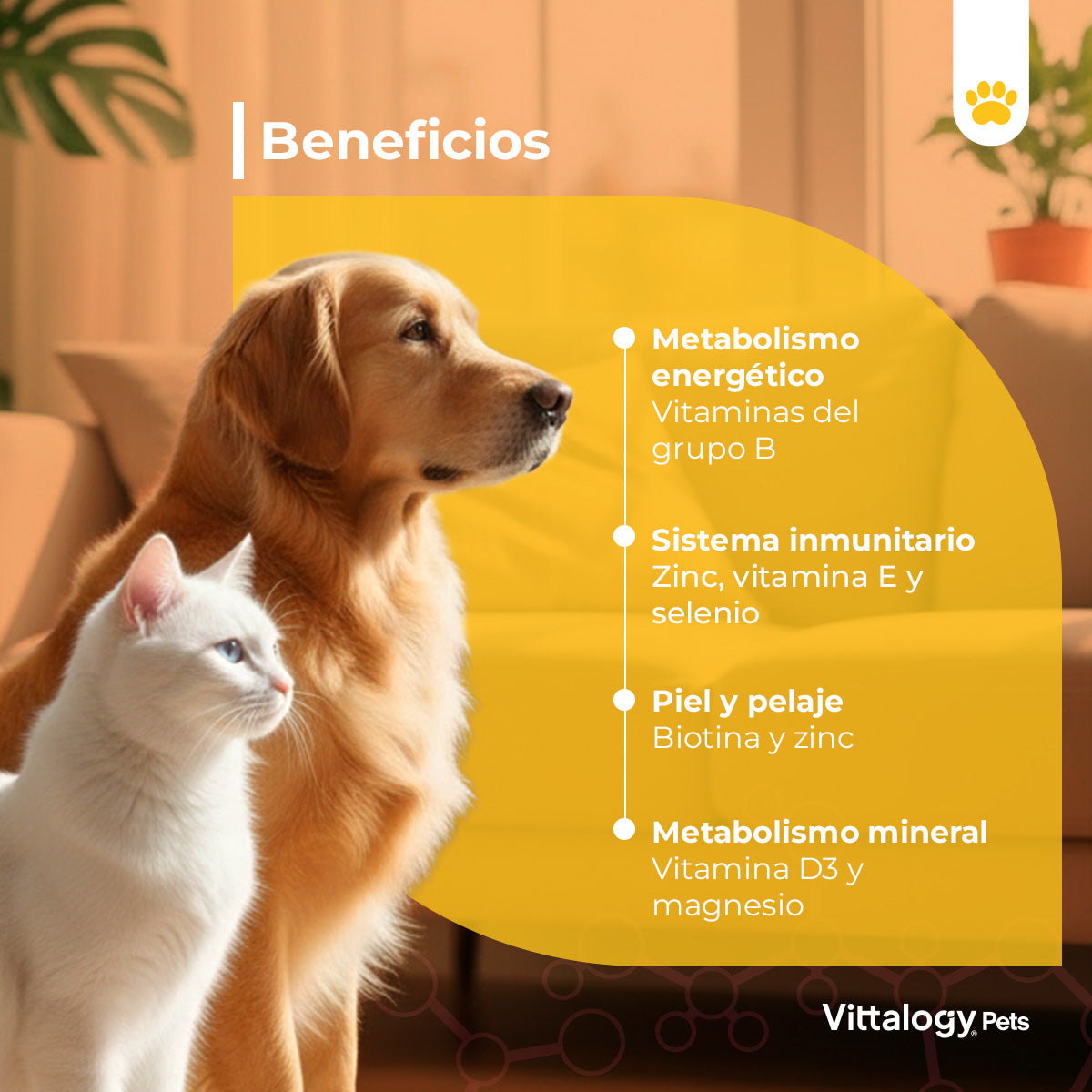 Multivitamin - 100g