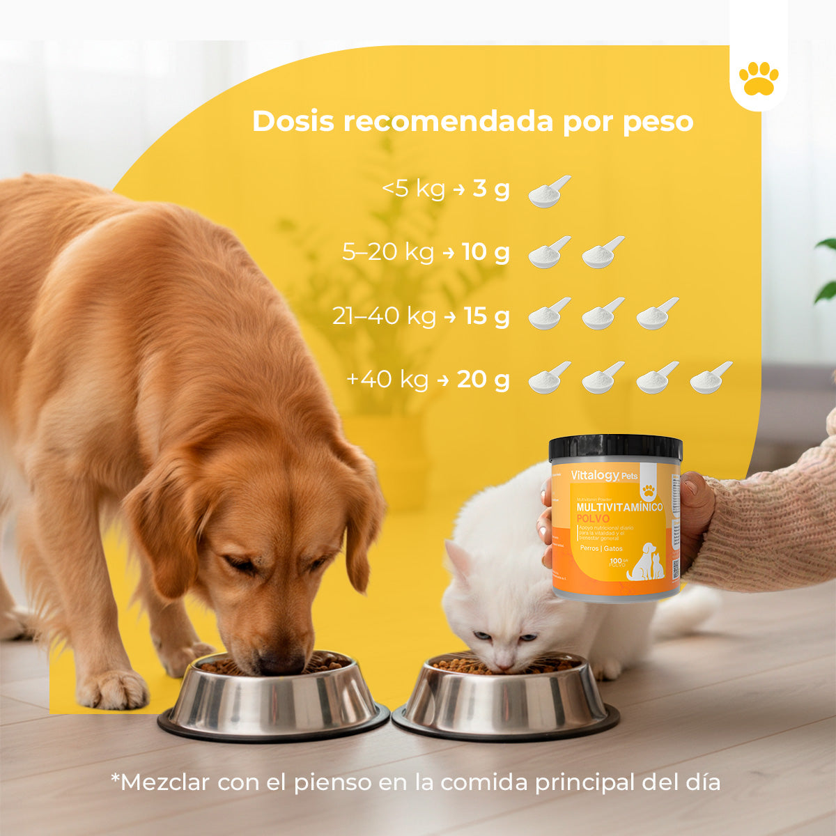 Multivitamin - 100g