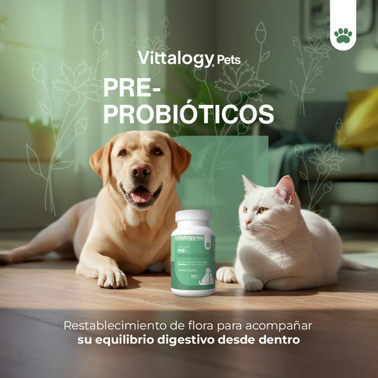 Pre Probióticos - 100 gr