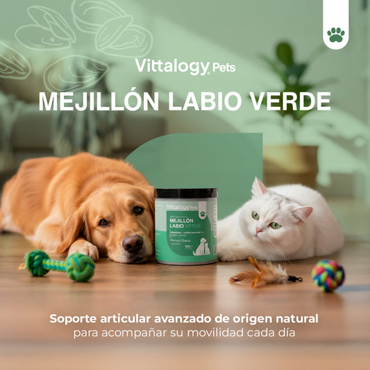 Mexilhão de Lábio Verde - 100g (Pack de 3)