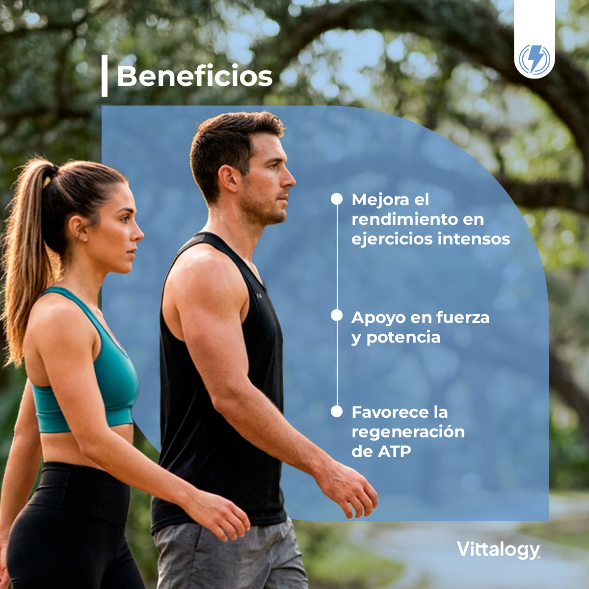 Creatina Monohidratada 300 gr