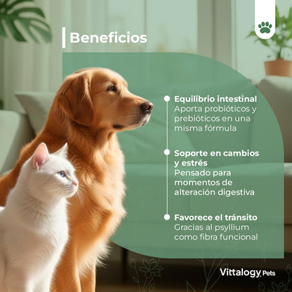 Pre Probióticos - 100 gr