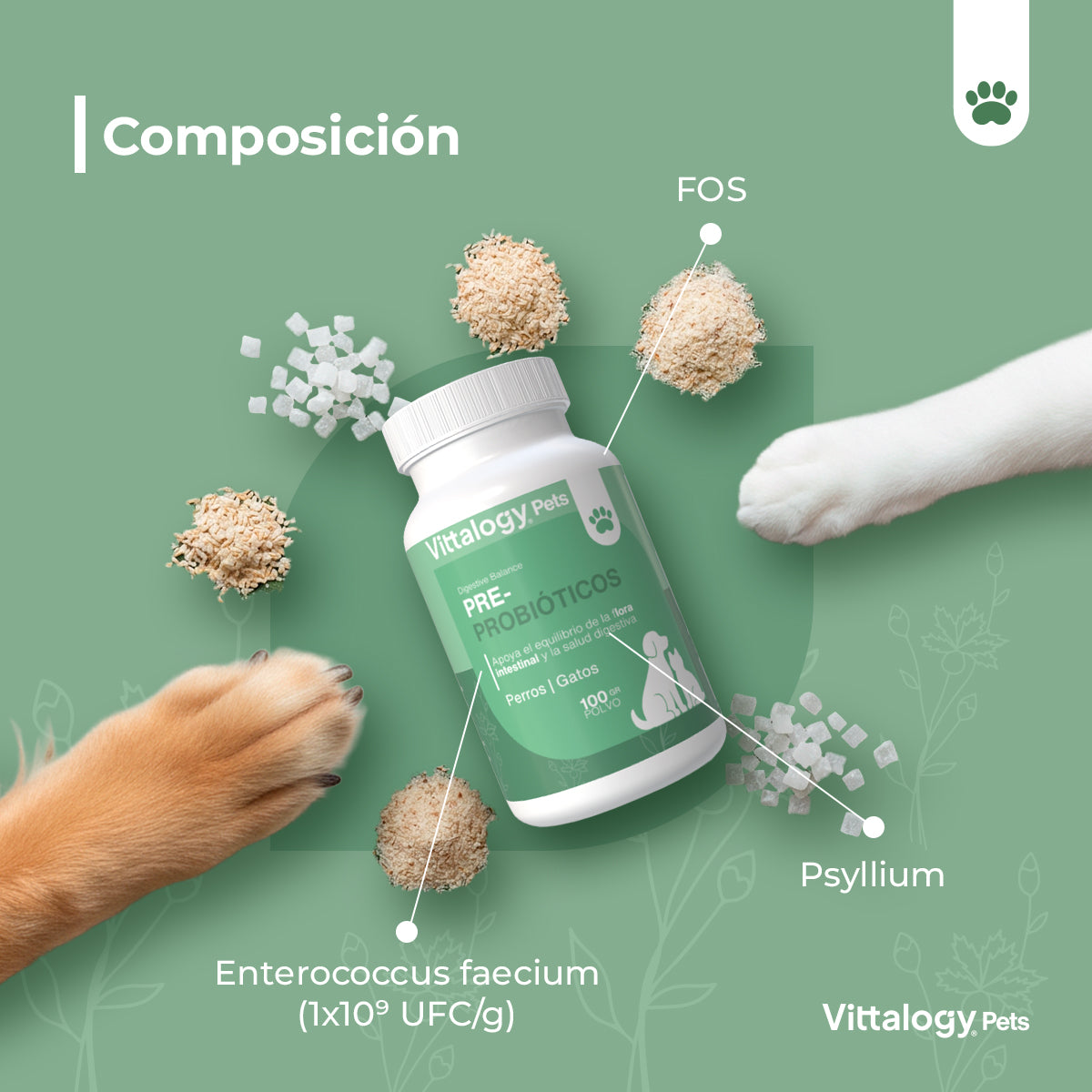 Pre Probióticos - 100 gr