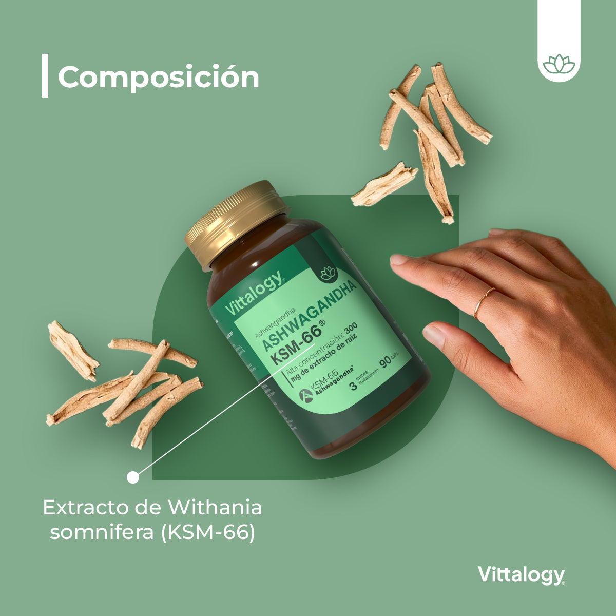 KSM-66 Ashwagandha - 90 cápsulas