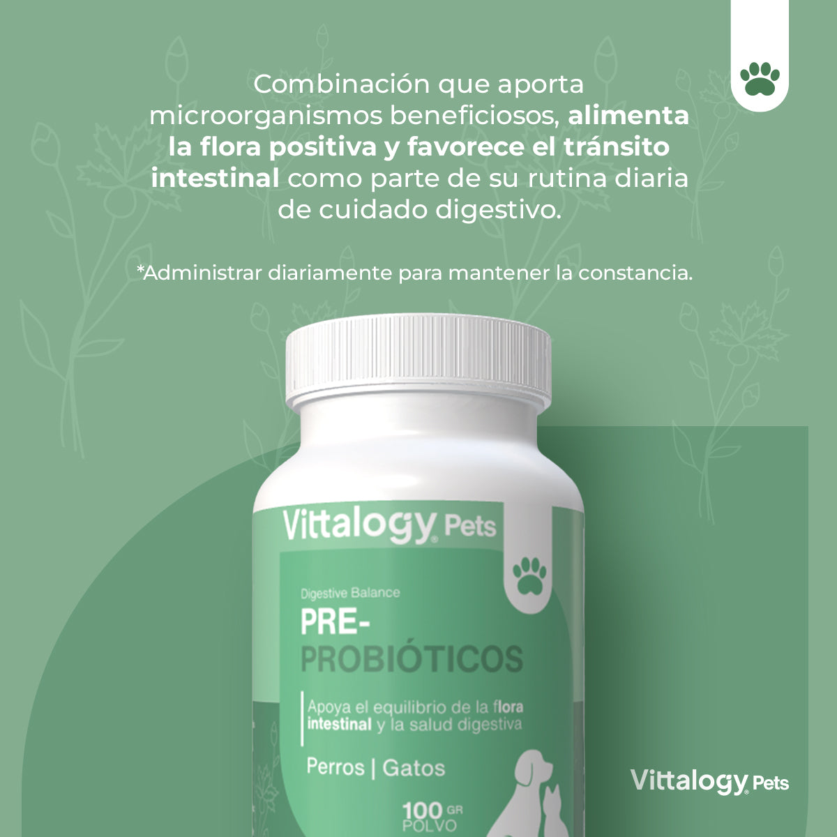 Pre Probióticos - 100 gr