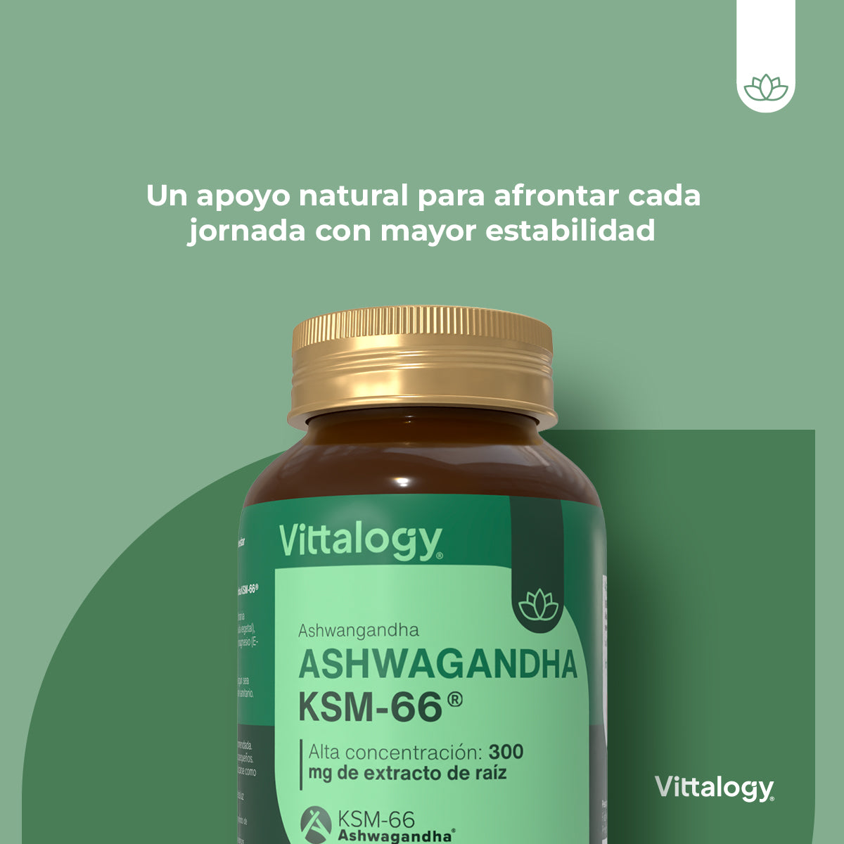 KSM-66 Ashwagandha - 90 cápsulas