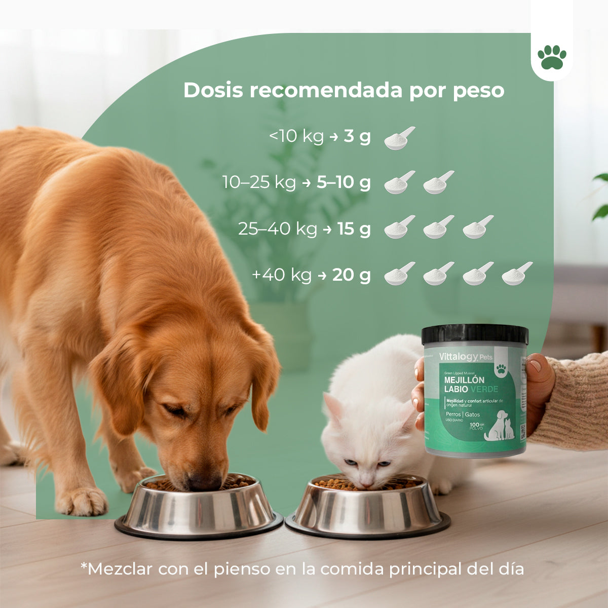 Cozza Verde - 100g