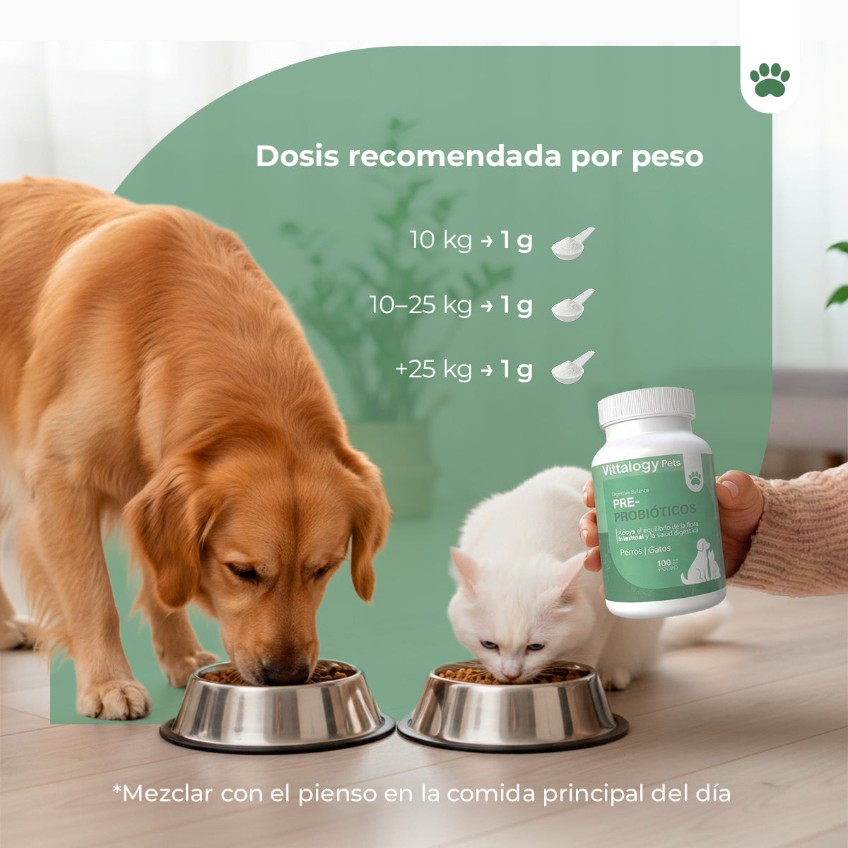 Pre Probióticos - 100 gr