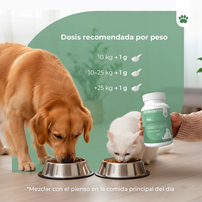 Pre Probióticos - 100 gr