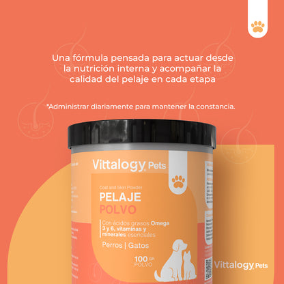 Coat Powder - 100g (Pack of 2)
