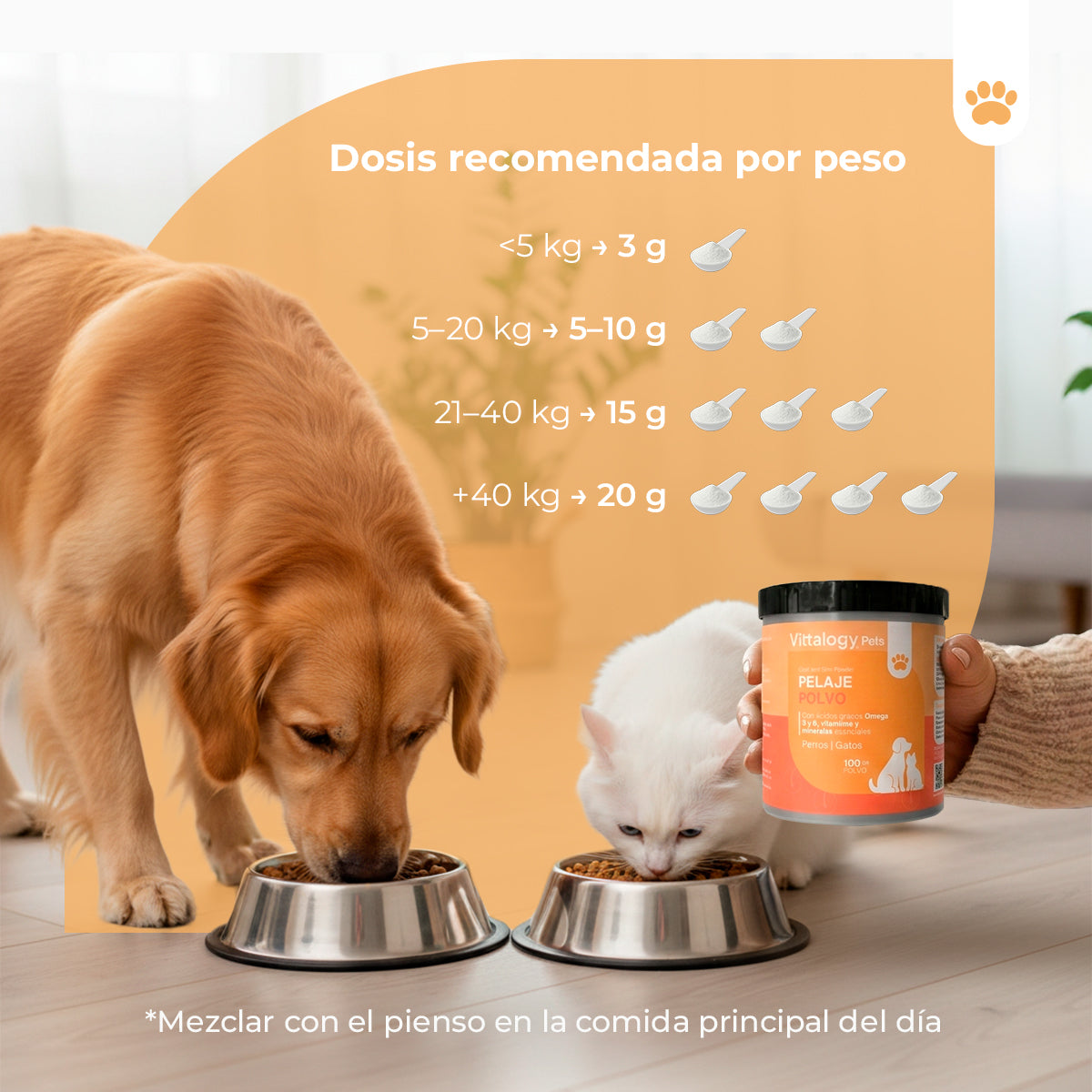 Pelo in Polvere - 100g