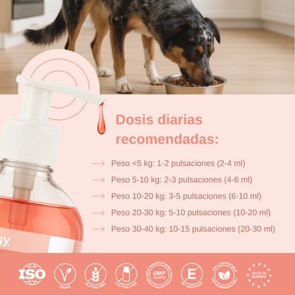 Salmon Oil