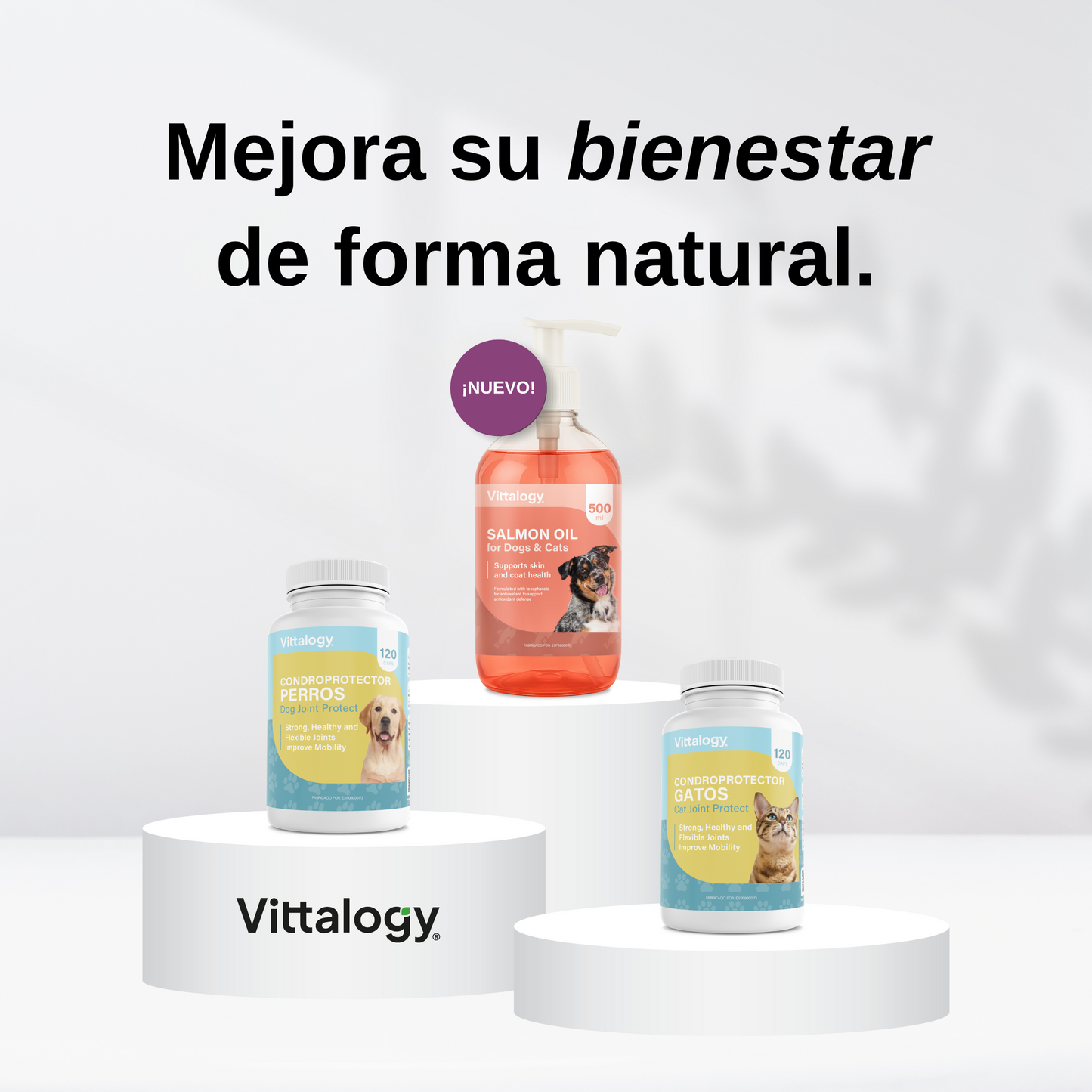 Salmon Oil
