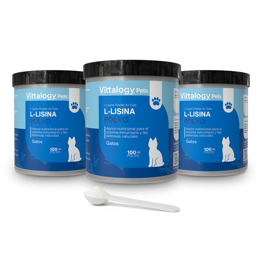 L-Lisina Polvere - 100g (Confezione da 3)