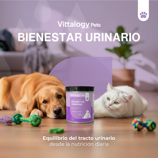 Bienestar Urinario Polvo - 100gr