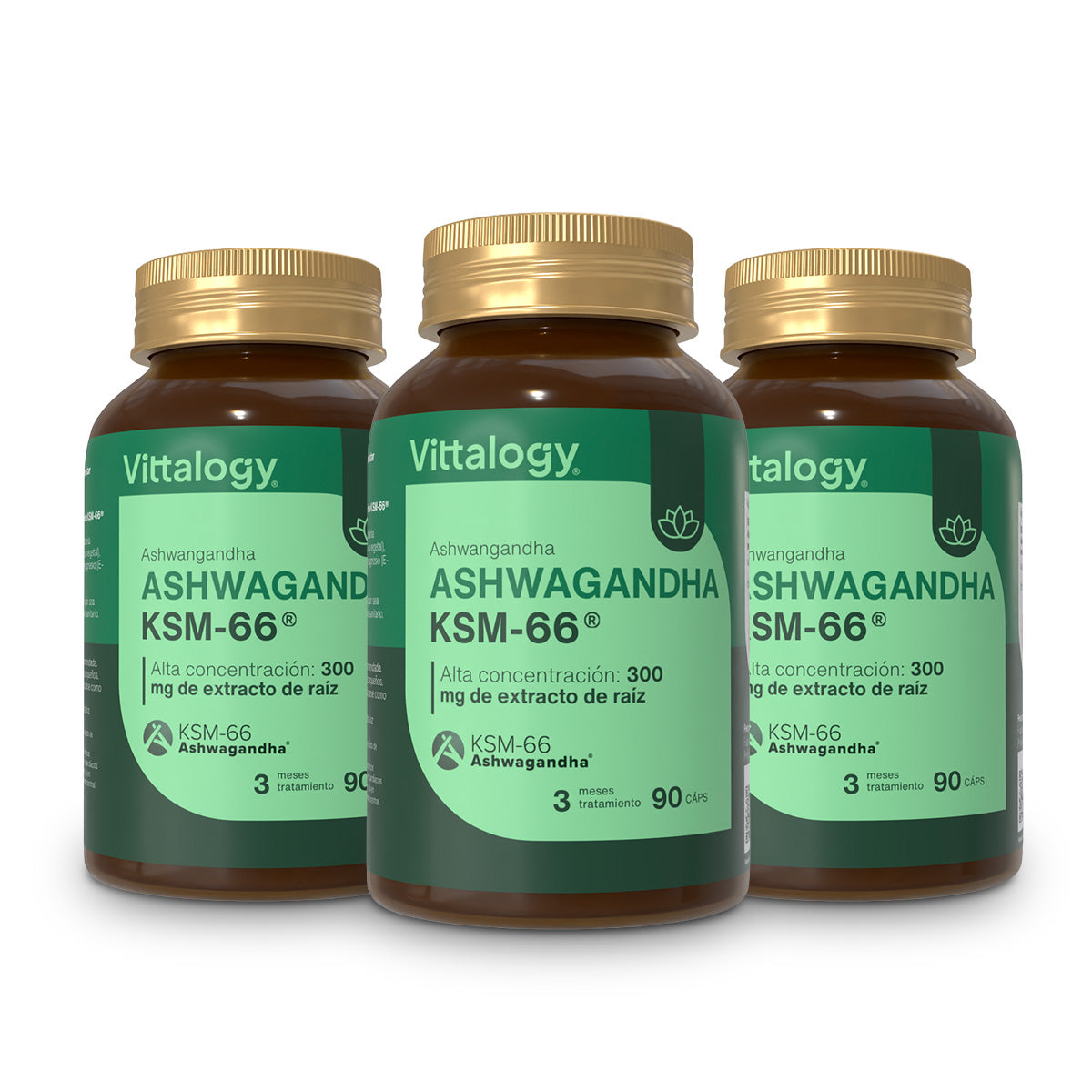 KSM-66 Ashwagandha - 270 Capsule (Confezione da 3)
